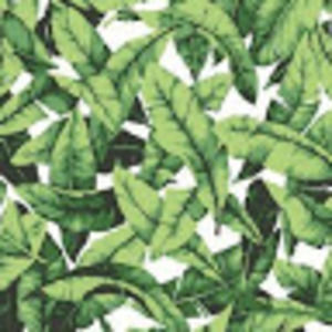 Meet your Posher, Leeza